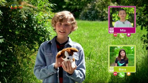 Příroda: Kam s domácími mazlíčky o prázdninách?