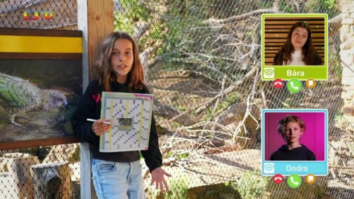 Příroda: Papoušek Nestor Kea