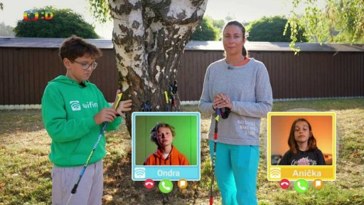 Technika: Nordic walking