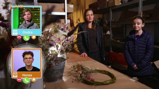 Příroda: Ekologické květinové vazby