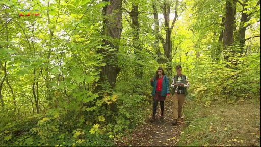 TýYó na výletě: Netolicko - Archeopark