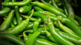 Chilli papričky