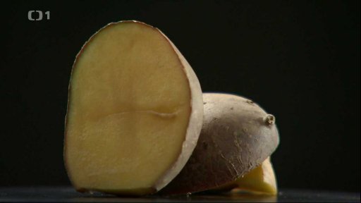 Předklíčení brambor