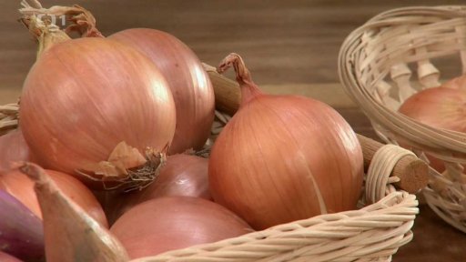 Výsev a výsadba v březnu