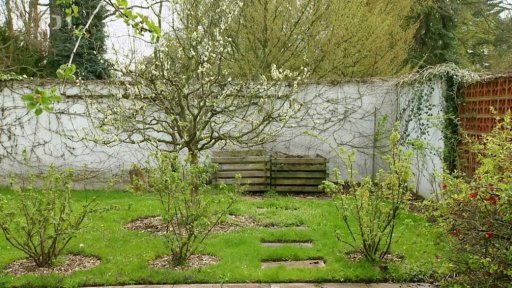 Jak rostliny využívají živiny z půdy