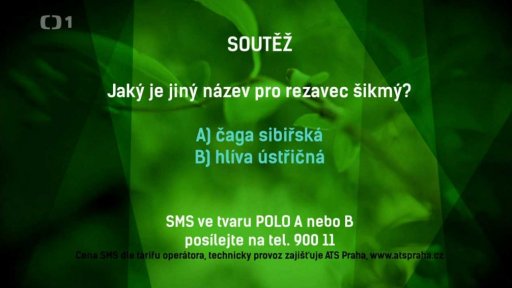 Soutěž POLO
