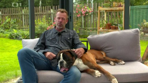 Chov německého boxera