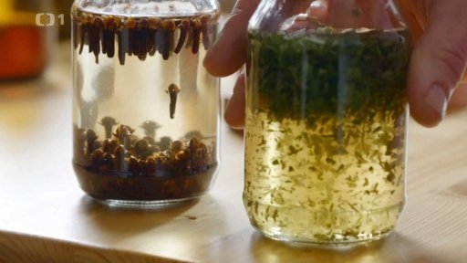 Šalvěj a hřebíček