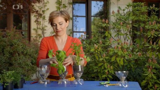 Květináče z PET lahví