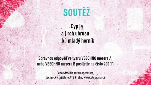Soutěž