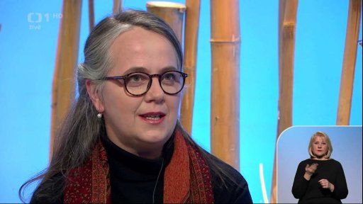 Linka bezpečí - 1. část