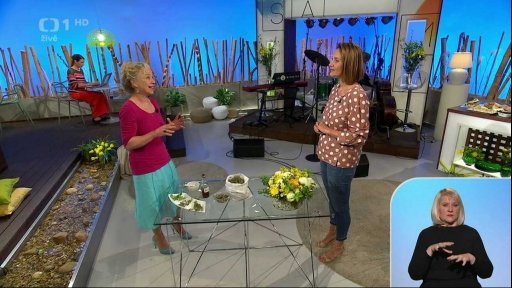 Bylinky - Mateřídouška