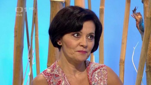 Pravidla ve výchově - úvod