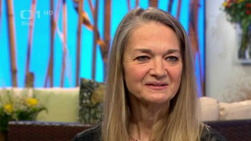 Tradiční lidová výšivka