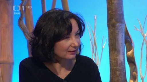 Spánek a psychika - 2. část