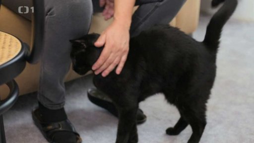 Znesváření Lucínek s Matýskem: v čem je problém?