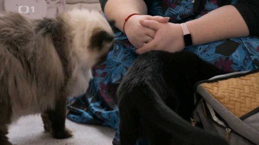 Znesváření Lucínek s Matýskem: triky a rady