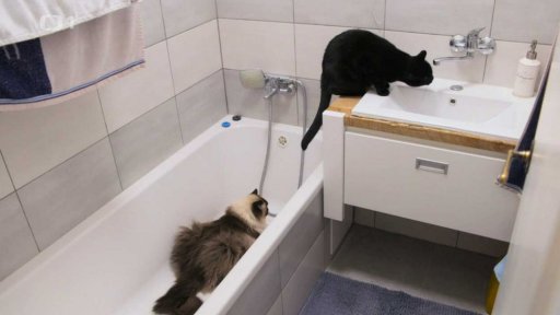 Znesváření Lucínek s Matýskem: po měsíci