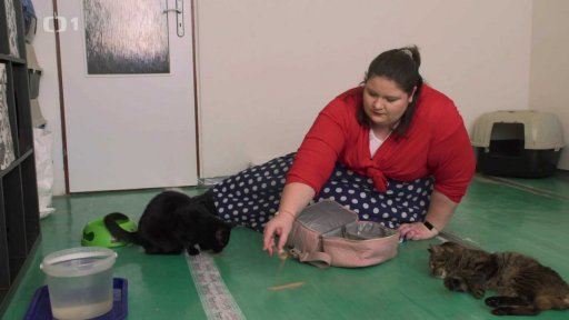 Záškodnické duo Sárínek s Mayou: seznámení s koučem