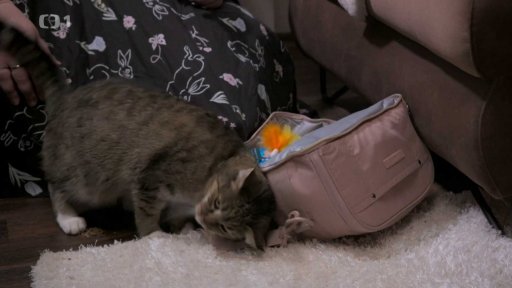 Hendikepovaný Ríša: seznámení s koučem