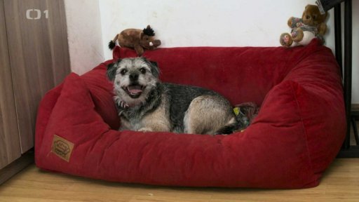 Asociální Dorotka: v čem je problém?