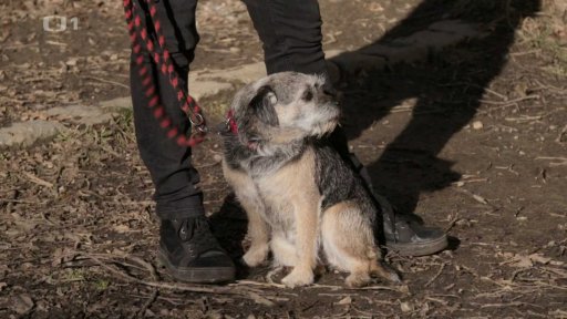 Asociální Dorotka: seznámení s koučem