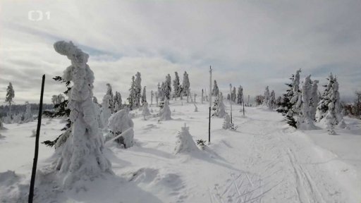 Z Ramzové na běžkách k Dalimilově rozhledně