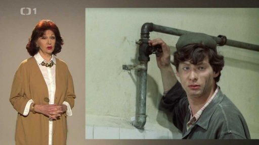 Světový den instalatérů