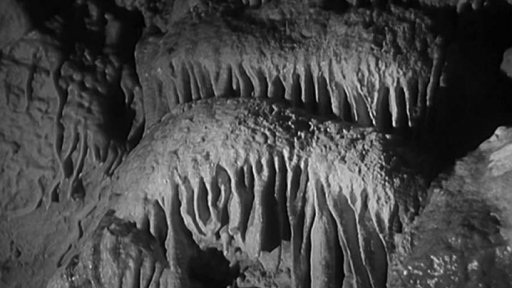 Spelologové z celého světa navštívili naše krasové útvary