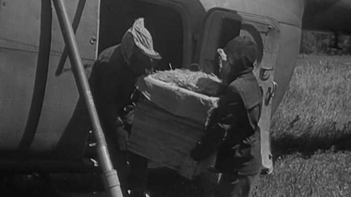 Taxi pro včelstva v Krasnojarské oblasti