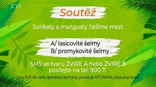 Soutěž