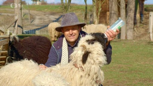 Herec Tomáš Krejčíř