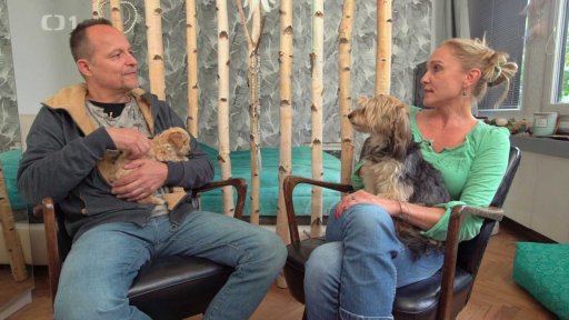 Výchova a socializace štěňat