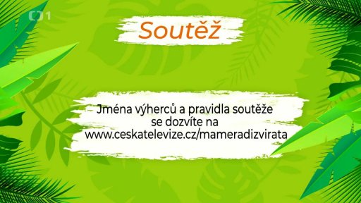Soutěž