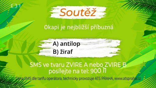 Soutěž