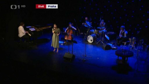 Vzpomínkový koncert na Petra Hapku