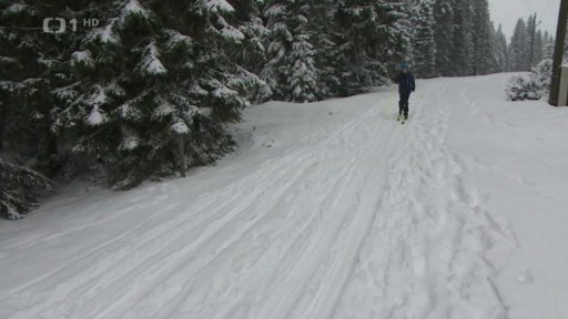 Dopravní komplikace kvůli sněhu a mrazu