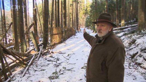 Následky silné vichřice v Boubíně