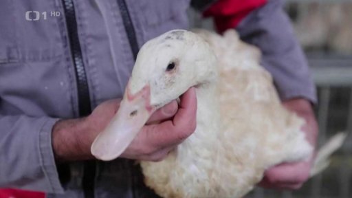 Obchod EU s Ukrajinou