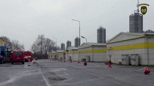 Likvidace nakažené drůběže