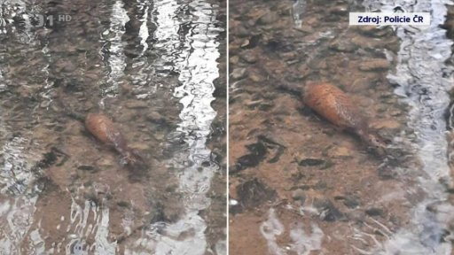 Granát z druhé světové války u Otrokovic