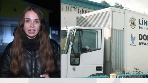 Nová ohniska ptačí chřipky