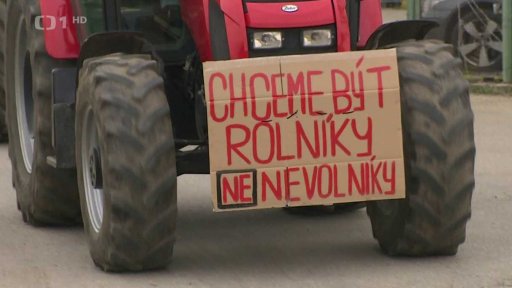 Průběh protestu v Česku