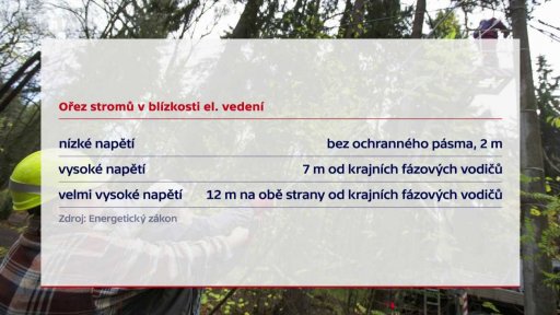 Ořez stromů u elektrického vedení
