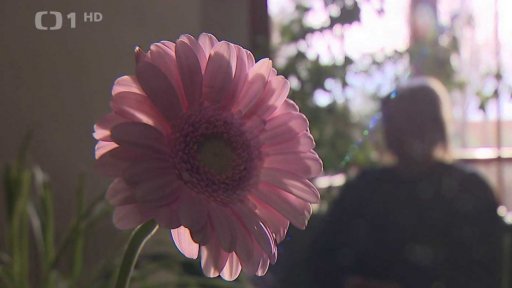 Stížnost kvůli zneužívání nezletilé