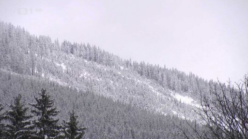 Mráz, sníh a silný vítr