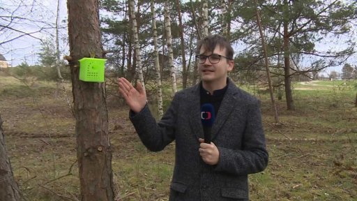 První past na sršeň asijskou