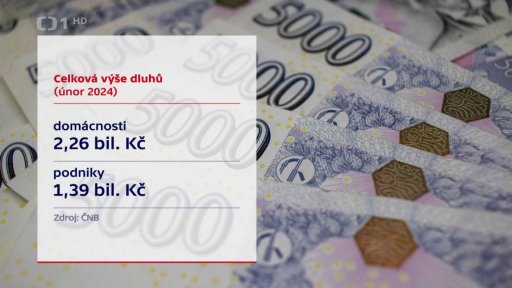 Celková výše dluhů