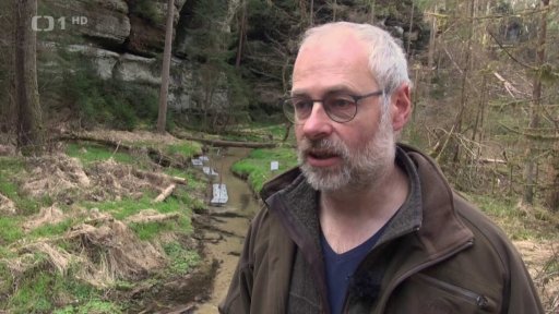 Návrat lososů do řeky Kamenice