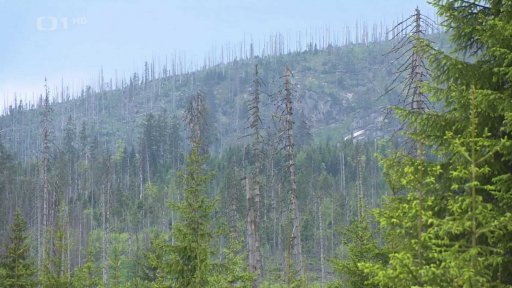 Vliv obcí na chod národních parků